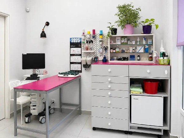 Nowy Vitalvet - Lekarz Weterynarii Kraków, Szczepienia I Diagnostyka 4